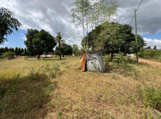 KIWANJA CHENYE HATI,SQM.1448,TZS.160 MIL,BUNJU.