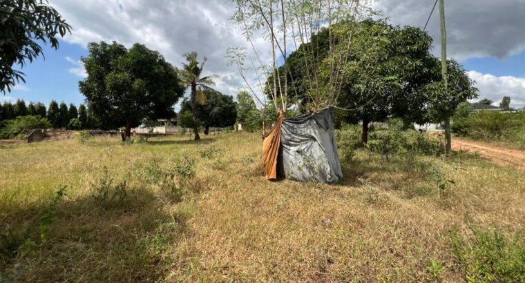 KIWANJA CHENYE HATI,SQM.1448,TZS.160 MIL,BUNJU.