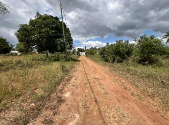 KIWANJA CHENYE HATI,SQM.1448,TZS.160 MIL,BUNJU.