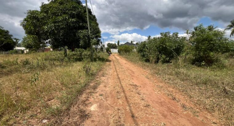 KIWANJA CHENYE HATI,SQM.1448,TZS.160 MIL,BUNJU.
