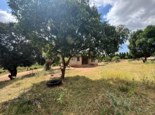 KIWANJA CHENYE HATI,SQM.1448,TZS.160 MIL,BUNJU.