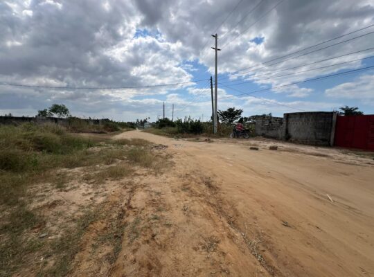 PAGALE LA VYUMBA 3, TZS.180 MILIONI, BUNJU-TBA.