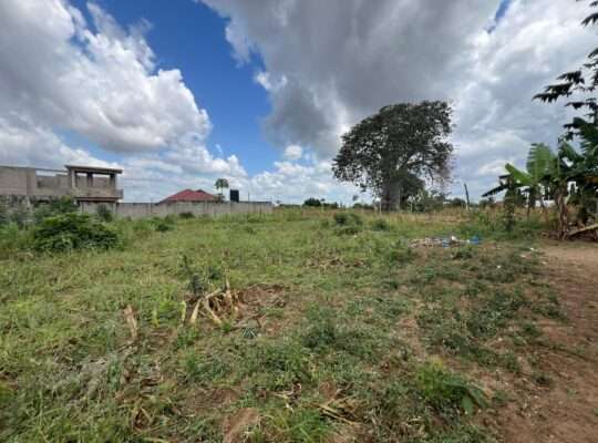 PAGALE LA VYUMBA 3, TZS.180 MILIONI, BUNJU-TBA.