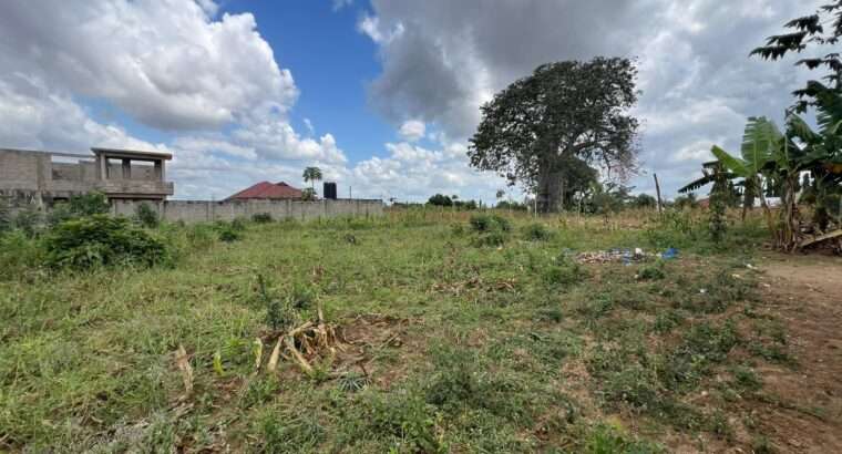 PAGALE LA VYUMBA 3, TZS.180 MILIONI, BUNJU-TBA.