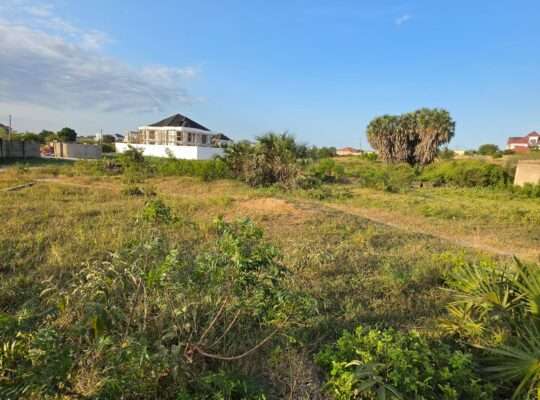 KIWANJA CHENYE HATI,SQM 1165,TZS.140 MIL,MBWENI