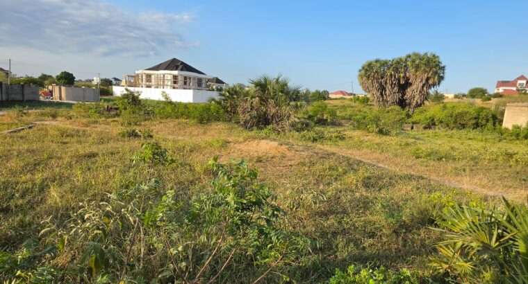 KIWANJA CHENYE HATI,SQM 1165,TZS.140 MIL,MBWENI