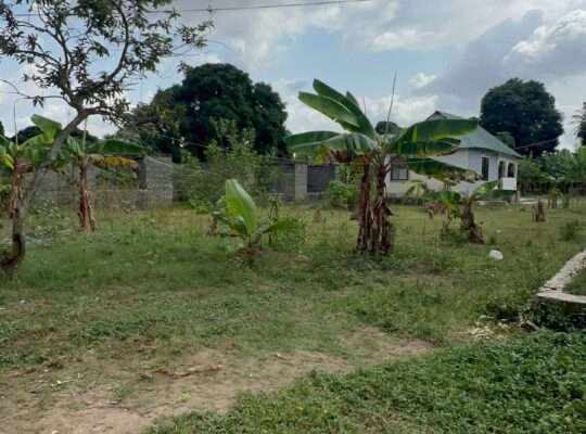 NYUMBA TATU-PAMOJA,PLOT SQM.4,644,GONGOLAMBOTO