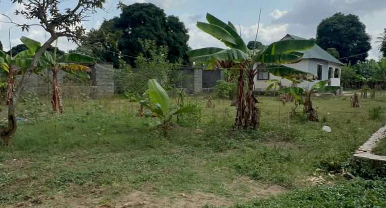 NYUMBA TATU-PAMOJA,PLOT SQM.4,644,GONGOLAMBOTO