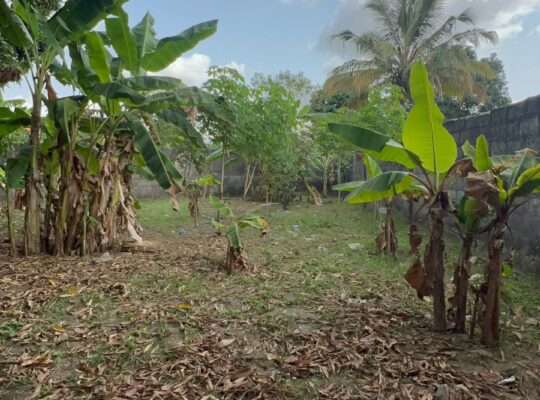 NYUMBA TATU-PAMOJA,PLOT SQM.4,644,GONGOLAMBOTO