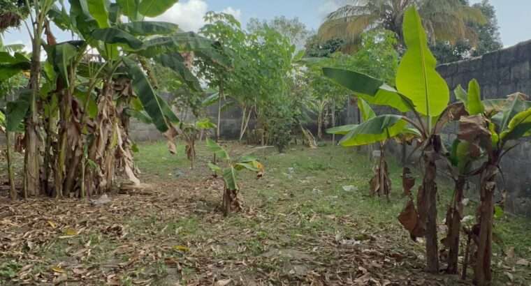 NYUMBA TATU-PAMOJA,PLOT SQM.4,644,GONGOLAMBOTO