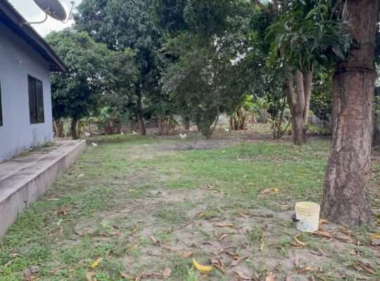 NYUMBA TATU-PAMOJA,PLOT SQM.4,644,GONGOLAMBOTO