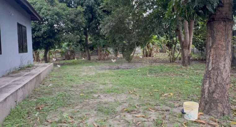 NYUMBA TATU-PAMOJA,PLOT SQM.4,644,GONGOLAMBOTO