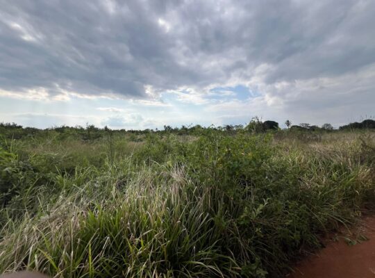SHAMBA LENYE HATI EKARI 30,SUNGWI,MKISARAWE