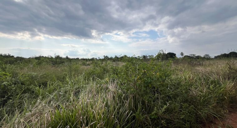 SHAMBA LENYE HATI EKARI 30,SUNGWI,MKISARAWE
