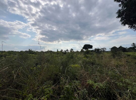 SHAMBA LENYE HATI EKARI 30,SUNGWI,MKISARAWE