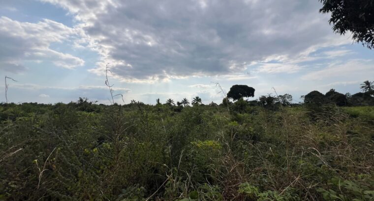 SHAMBA LENYE HATI EKARI 30,SUNGWI,MKISARAWE