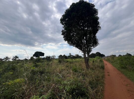 SHAMBA LENYE HATI EKARI 30,SUNGWI,MKISARAWE