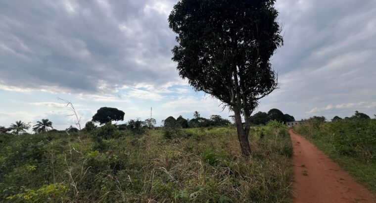 SHAMBA LENYE HATI EKARI 30,SUNGWI,MKISARAWE