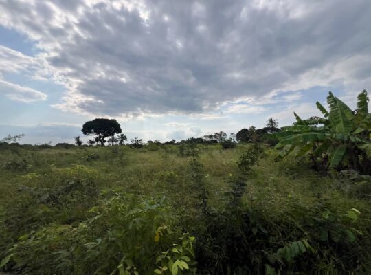 SHAMBA LENYE HATI EKARI 30,SUNGWI,MKISARAWE