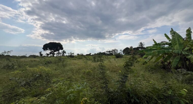 SHAMBA LENYE HATI EKARI 30,SUNGWI,MKISARAWE