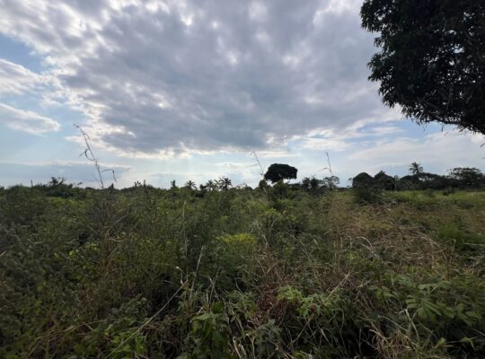 SHAMBA LENYE HATI EKARI 30,SUNGWI,MKISARAWE