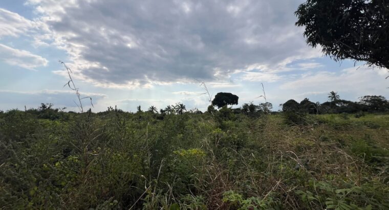 SHAMBA LENYE HATI EKARI 30,SUNGWI,MKISARAWE