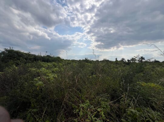 SHAMBA LENYE HATI EKARI 30,SUNGWI,MKISARAWE