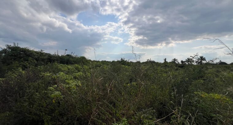 SHAMBA LENYE HATI EKARI 30,SUNGWI,MKISARAWE