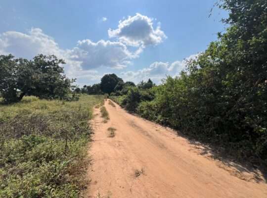 SHAMBA EKARI 140, TZS. 2 BILIONI, MKURANGA