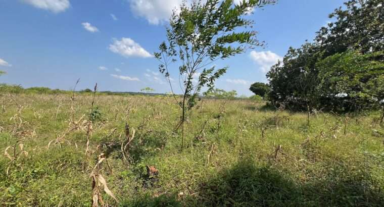 SHAMBA EKARI 140, TZS. 2 BILIONI, MKURANGA