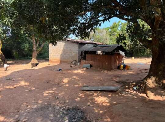 SHAMBA EKARI 140, TZS. 2 BILIONI, MKURANGA