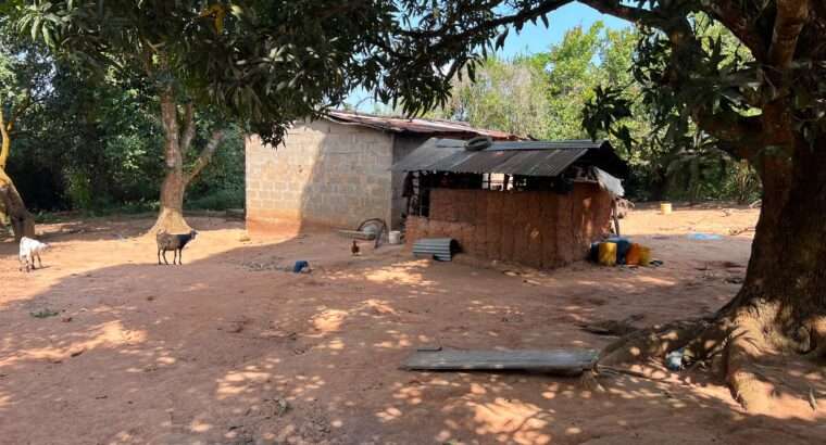 SHAMBA EKARI 140, TZS. 2 BILIONI, MKURANGA