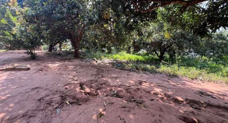 SHAMBA EKARI 140, TZS. 2 BILIONI, MKURANGA