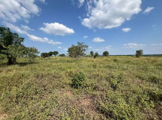 SHAMBA EKARI 140, TZS. 2 BILIONI, MKURANGA