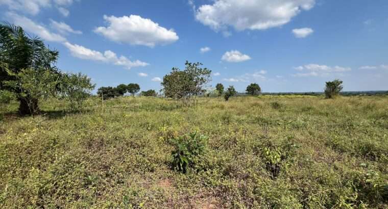 SHAMBA EKARI 140, TZS. 2 BILIONI, MKURANGA