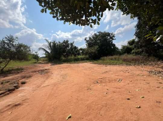 SHAMBA EKARI 140, TZS. 2 BILIONI, MKURANGA