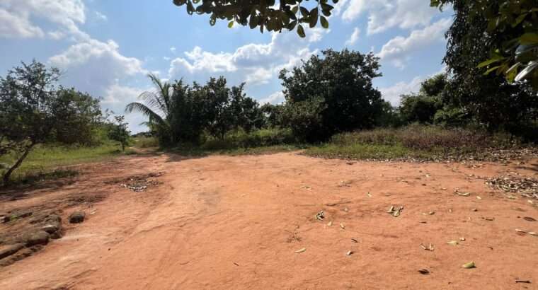 SHAMBA EKARI 140, TZS. 2 BILIONI, MKURANGA