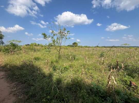 SHAMBA EKARI 140, TZS. 2 BILIONI, MKURANGA