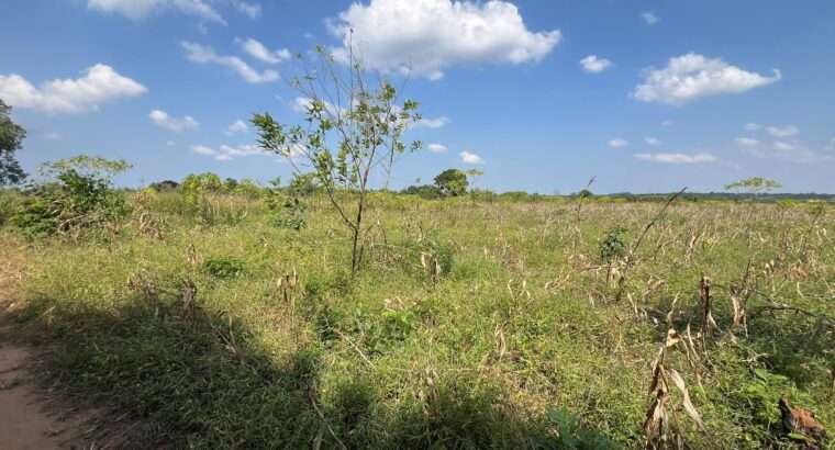 SHAMBA EKARI 140, TZS. 2 BILIONI, MKURANGA