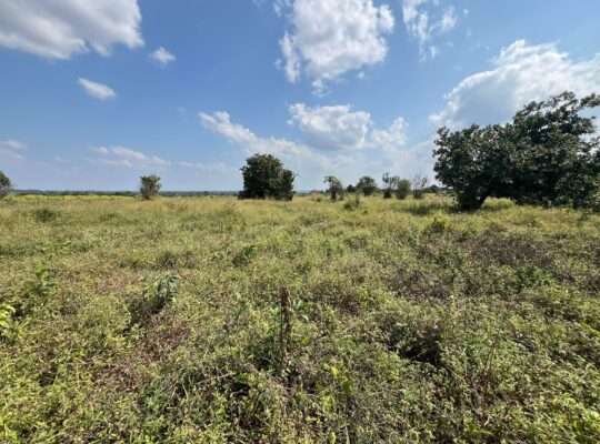 SHAMBA EKARI 140, TZS. 2 BILIONI, MKURANGA