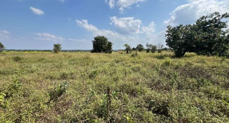 SHAMBA EKARI 140, TZS. 2 BILIONI, MKURANGA
