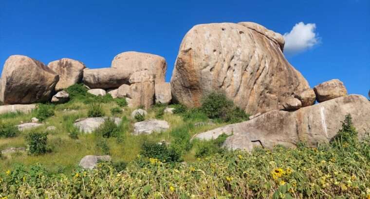 40 ACRES GRAVELS/QUARRY SITE,$2.5 MIL. IN DODOMA