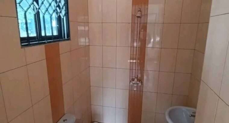 NYUMBA SITA (6) ZINAUZWA PAMOJA, CHANIKA-NYEBURU