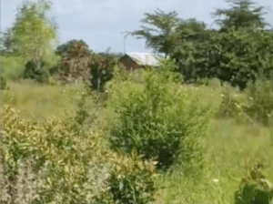 8 ACRE = 32,376 Sqm FARM ON SALE AT BAGAMOYO