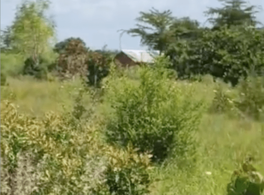 8 ACRE = 32,376 Sqm FARM ON SALE AT BAGAMOYO