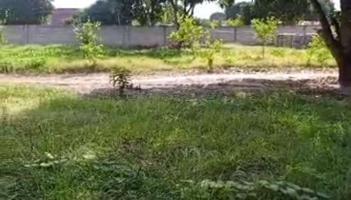 VIWANJA VILIVYOPIMWA, KEREGE BAGAMOYO