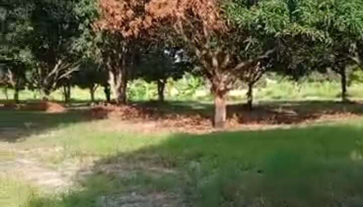VIWANJA VILIVYOPIMWA, KEREGE BAGAMOYO