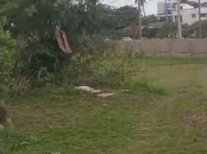 KIWANJA SQM.3,066,TZS.$900,000, MBEZI BEACH.