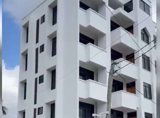 APARTMENTS MPYA,VYUMBA 2/3, SINZA.