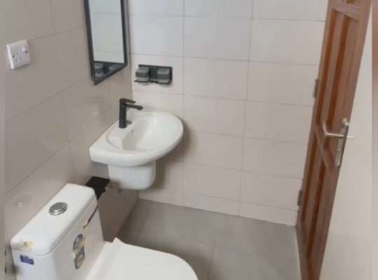 APARTMENTS MPYA,VYUMBA 2/3, SINZA.